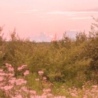syline profil fotoğrafı