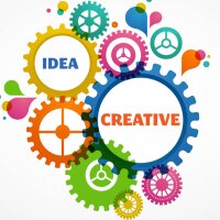 novicedesigner profil fotoğrafı