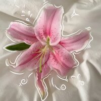 kubra44 profil fotoğrafı