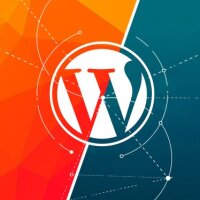wpdesignator profil fotoğrafı