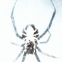 meto00 profil fotoğrafı