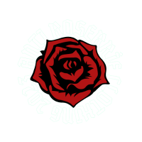 rose12342 profil fotoğrafı