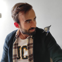 yyasingunes profil fotoğrafı