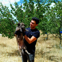 swls1developer profil fotoğrafı