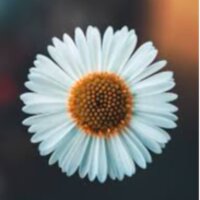 sinembatsin08 profil fotoğrafı