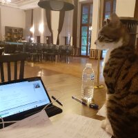 serkince profil fotoğrafı
