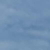 suadedogan profil fotoğrafı