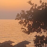 melikegms profil fotoğrafı