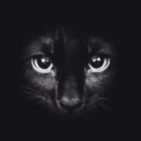 hakanylmz profil fotoğrafı