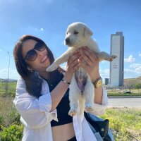 pecetiiinn profil fotoğrafı