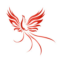 ankamotion profil fotoğrafı