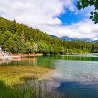 zepet44 profil fotoğrafı