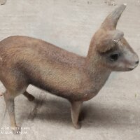 celalboz profil fotoğrafı
