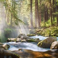 filizttl profil fotoğrafı