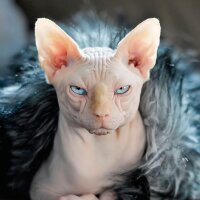 yusufkara9 profil fotoğrafı
