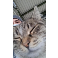 ufukeg profil fotoğrafı