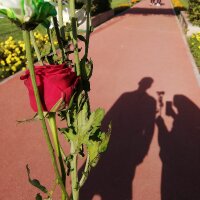 gulnaresarikaya profil fotoğrafı