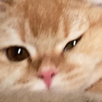 b44batu profil fotoğrafı