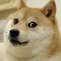 doge123 profil fotoğrafı