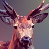 erencelik profil fotoğrafı