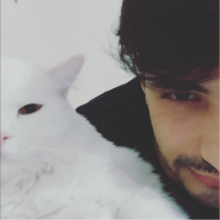 cemilyavuz1 profil fotoğrafı