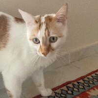 tuna2012 profil fotoğrafı