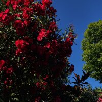 duyguyilmaaz profil fotoğrafı