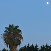 minealpay profil fotoğrafı
