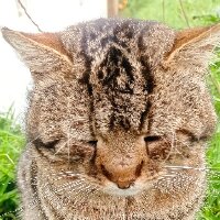 salihsivas profil fotoğrafı