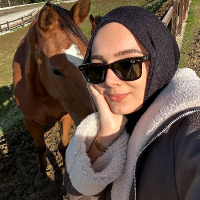 sinemmeral profil fotoğrafı