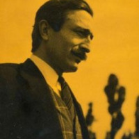 melihnumancelik profil fotoğrafı
