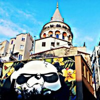 yigitkalelii profil fotoğrafı