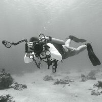 umutdurus profil fotoğrafı