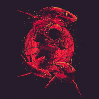 lostkingq profil fotoğrafı