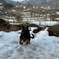 muratucnk profil fotoğrafı