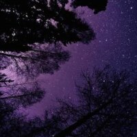 cozemezsinyok profil fotoğrafı