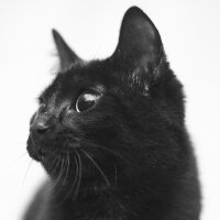 mervedemircioglu profil fotoğrafı