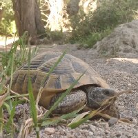omeruysal04 profil fotoğrafı