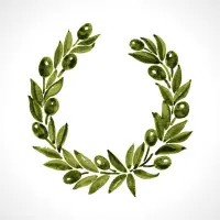 seowordpress profil fotoğrafı
