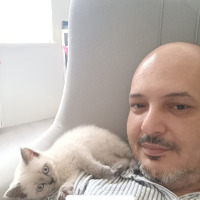 sezgiyollari profil fotoğrafı