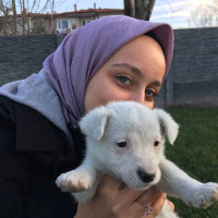 bettarhan profil fotoğrafı