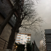 ytayilan profil fotoğrafı