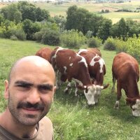 ysfmtl profil fotoğrafı