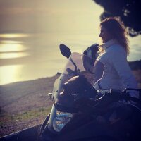 cuciss profil fotoğrafı