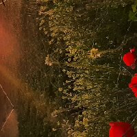 haticeprlr profil fotoğrafı