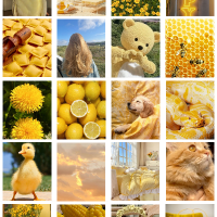 merveakar12 profil fotoğrafı