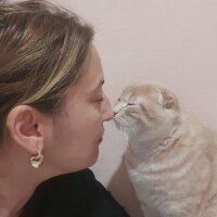 adasyasvg profil fotoğrafı