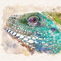 securehero profil fotoğrafı