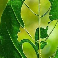 ebru0680 profil fotoğrafı