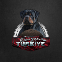 muratkumpaz profil fotoğrafı